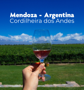 Réveillon nos Andes - 9 dias e 4 noites em Mendoza- Cordilheiras - Aconcágua e Vinícolas