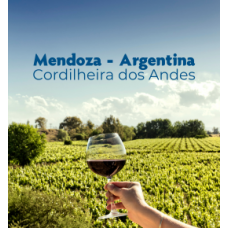 Expedição Mendoza- Cordilheiras - Aconcágua - Estações de Esqui e Vinícolas